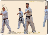mini_logo_karate